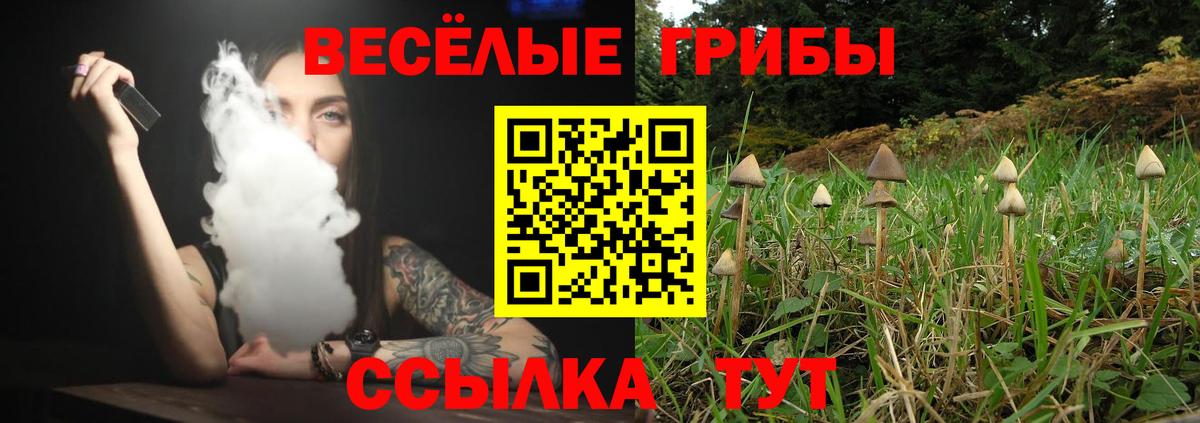 Галлюциногенные грибы мухоморы Новошахтинск