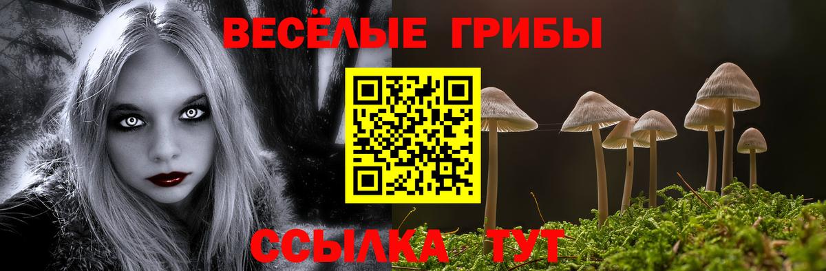Новошахтинск  Галлюциногенные грибы ЛСД  Вход с VPN  Псилоцибиновые грибы Cubensis 